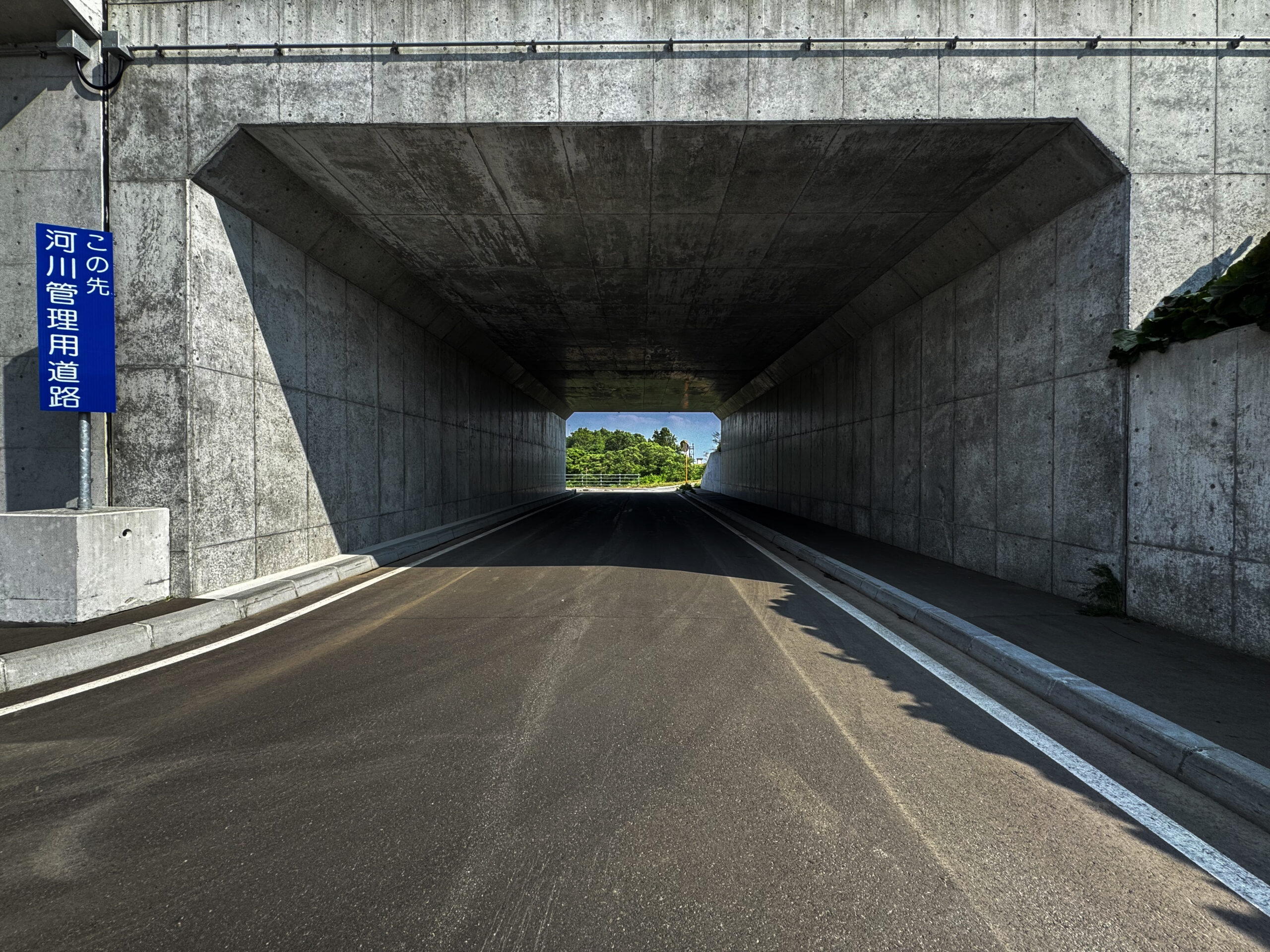 2019年 3・3・304南大通 交付金(函渠工)工事(翌債・債務)